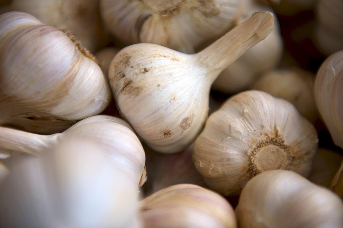 Zuppa di Aglio e Pane